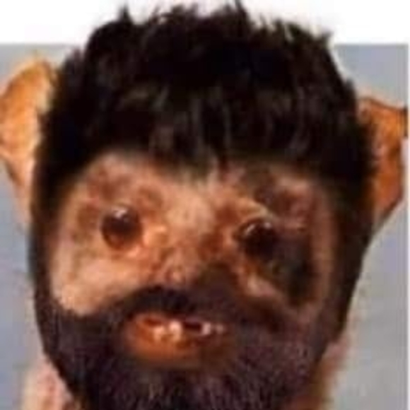 jesusnavarro330